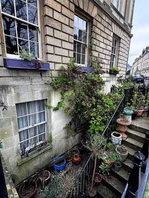 An appealing private garden