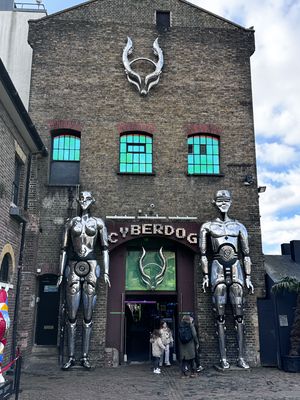 Cyberdog