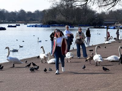 The Serpentine Lake, Hyde Park