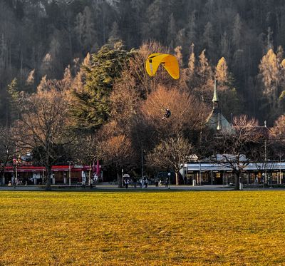 g13/32/634832/3/175380099.efb272bc.JPEG