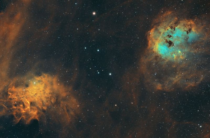 tadpole 3-4.jpg