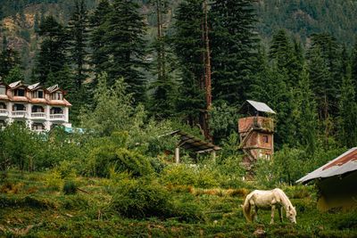 014-India-_AEN4738.jpg
