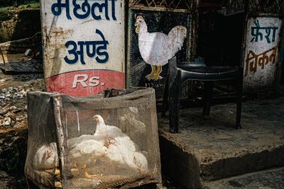 066-India-_ALE5244.jpg