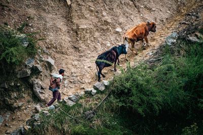 072-India-_AEN4952.jpg