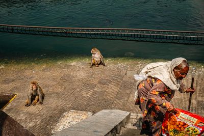 131-India-_ALE5694.jpg