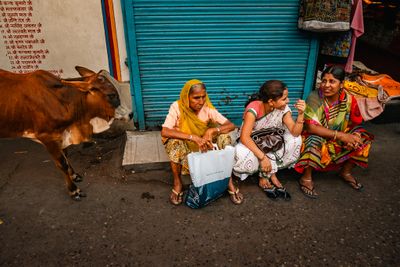 149-India-_ALE5821.jpg