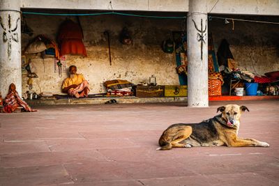 152-India-_ALE5836.jpg