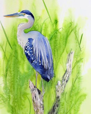 AI bird 5.jpg