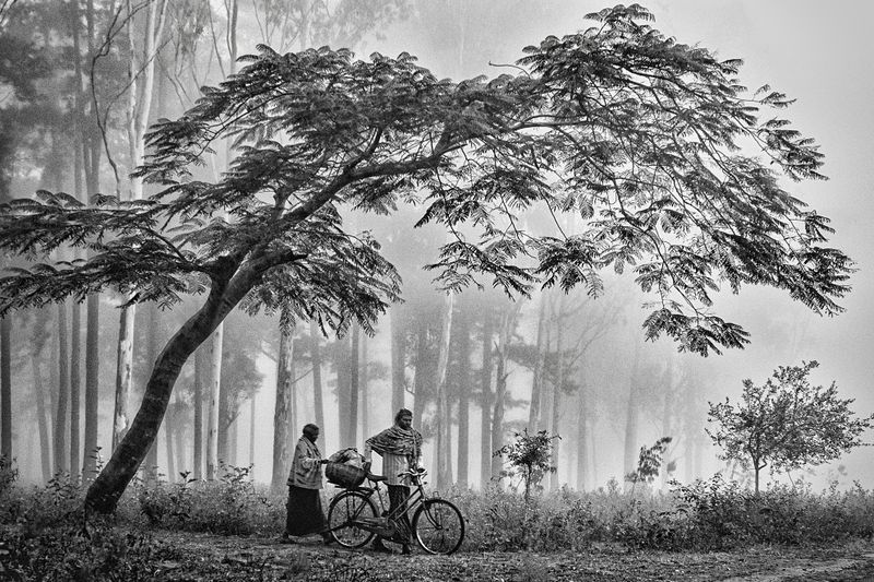 COUPLE UNDER A TREE new.jpg