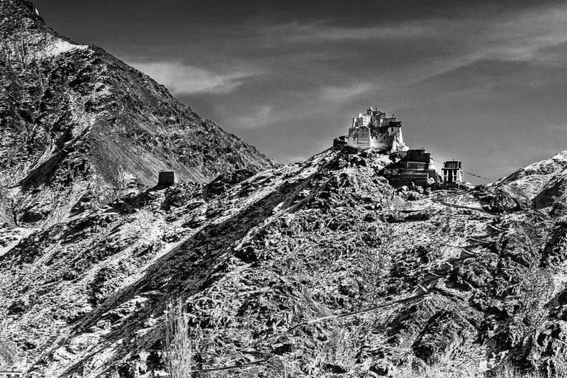 Leh palace.jpg