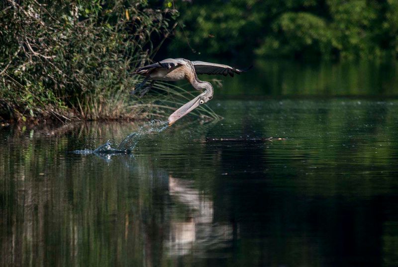fishing in filght.jpg