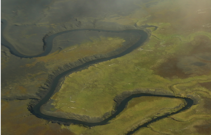 PAW37 - Oxbows