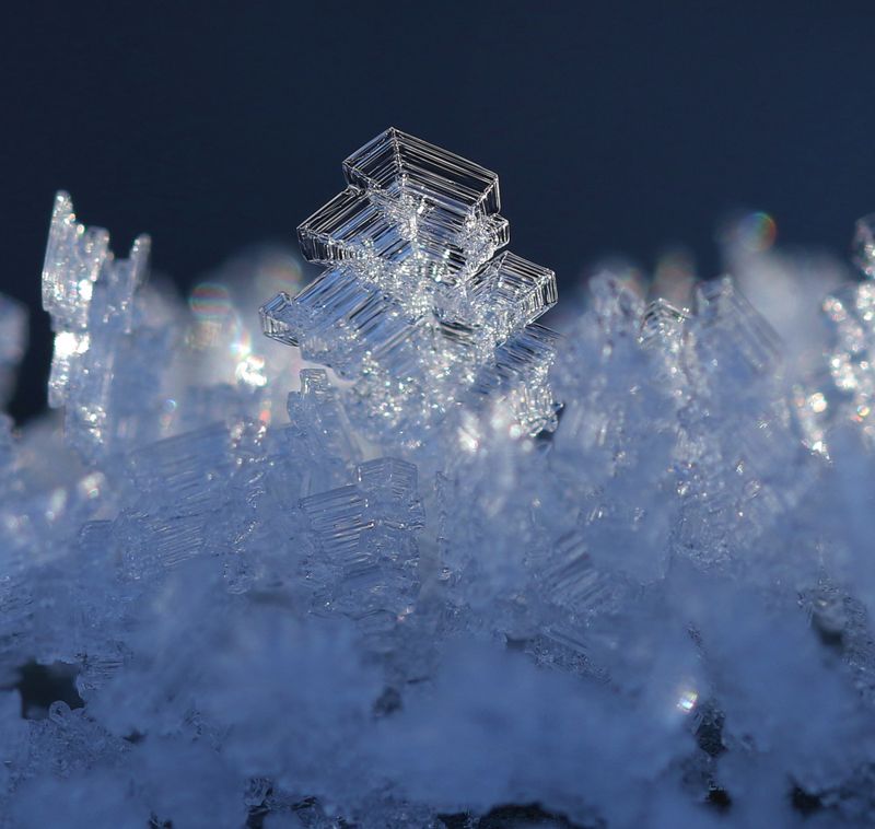 PAW5 - Frost Structure 6