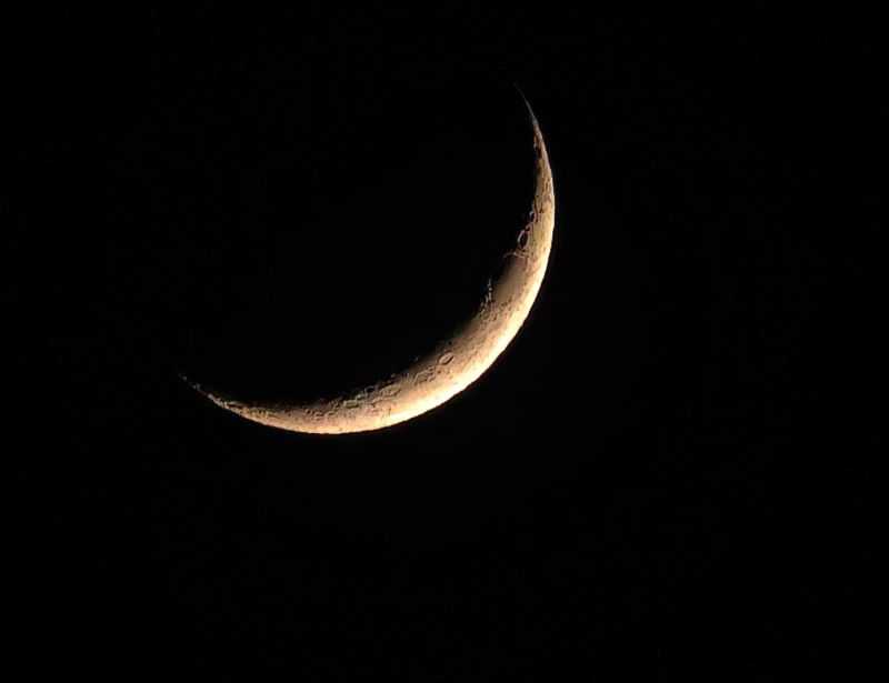 PAW8 - Moon Sliver