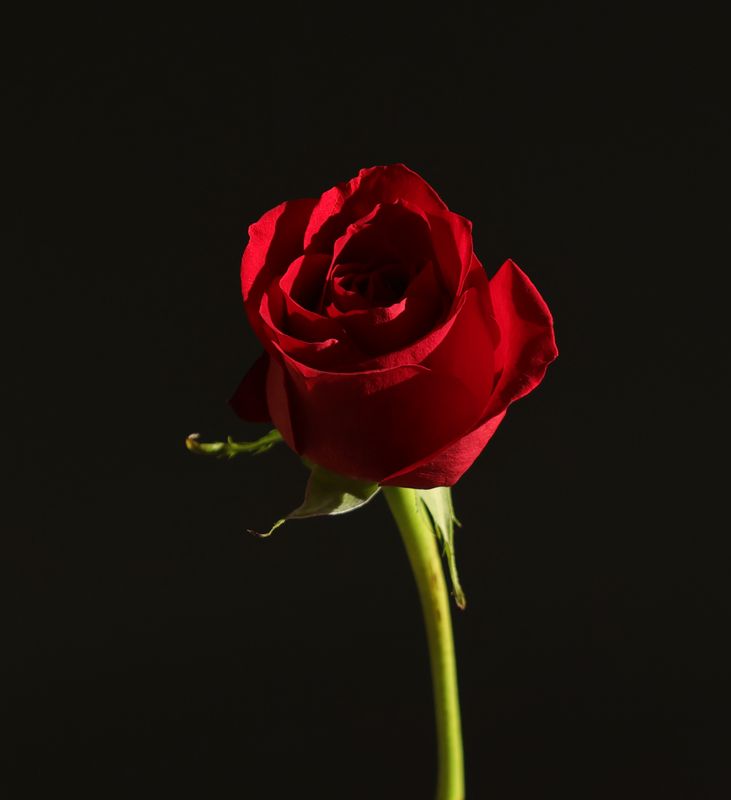 PAW11 -At the Missing Man Table