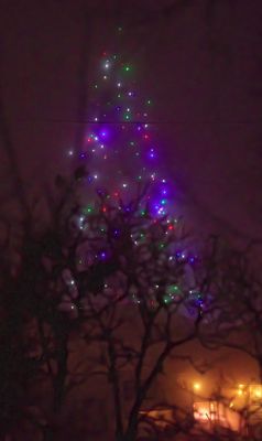 PAW33 - Yule Lights in Fog