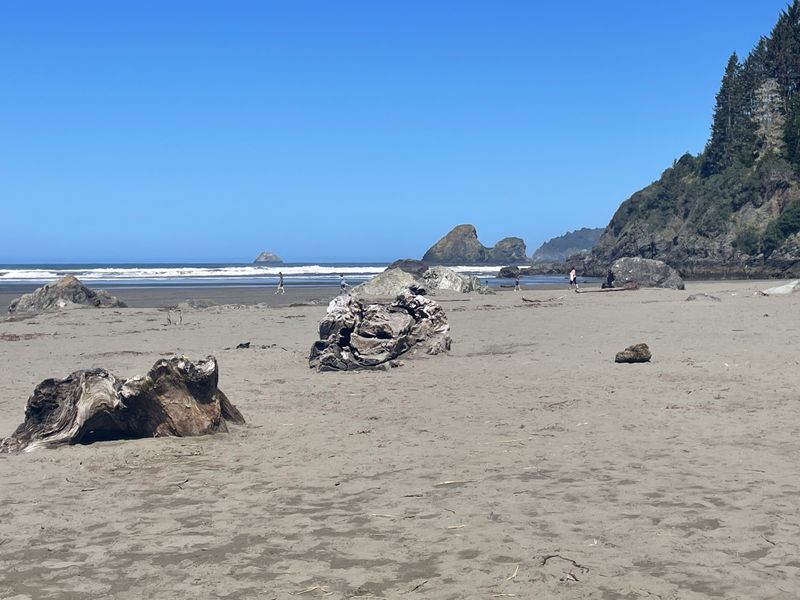 Beach-5067.jpg