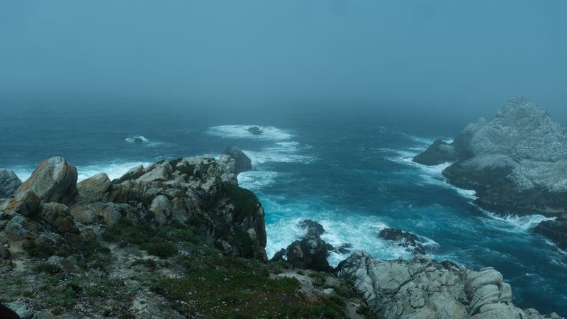 Point Lobos-4384.jpg