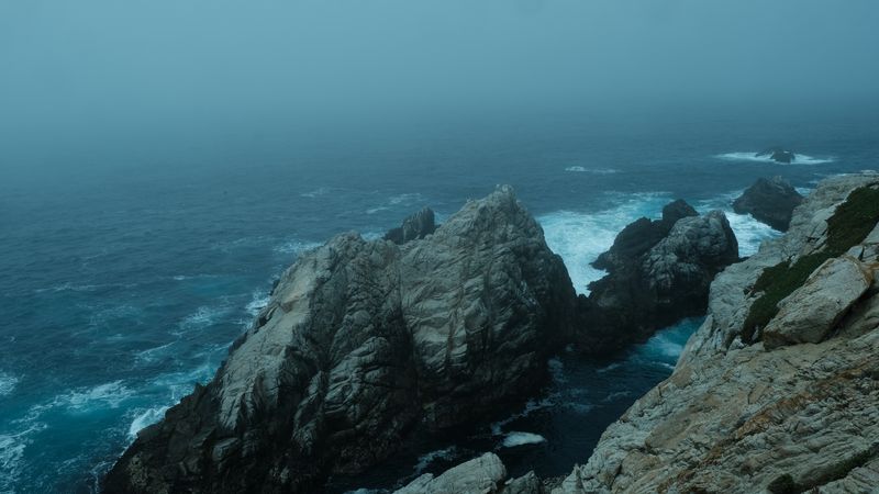 Point Lobos-4385.jpg