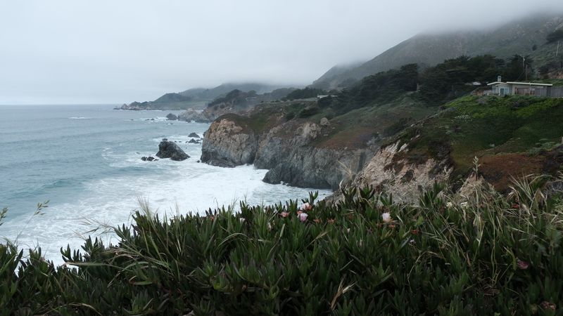 South of Monterey (Big Sur etc)-4424.jpg