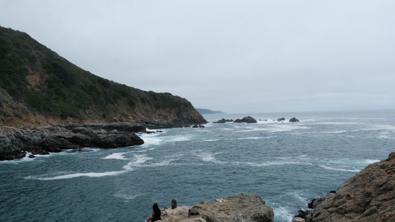South of Monterey Partington Cove-4498.jpg