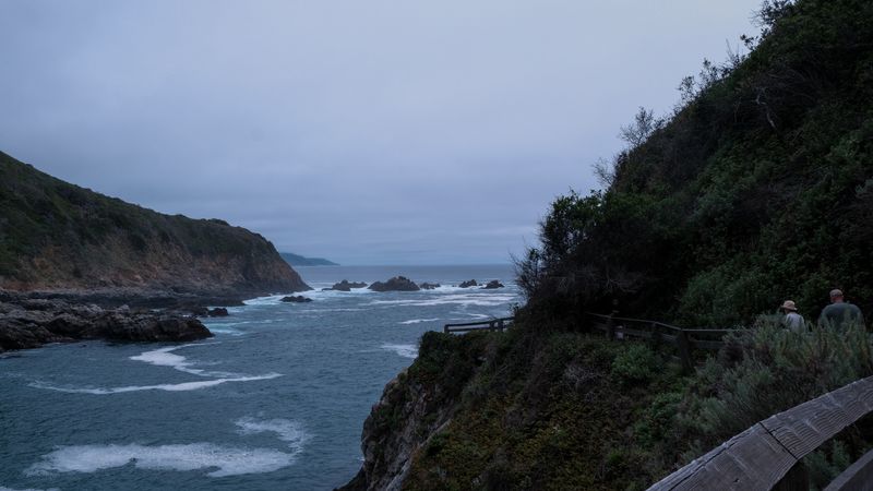 South of Monterey Partington Cove-4502.jpg