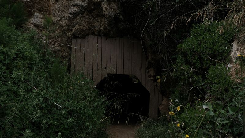 South of Monterey Partington Cove-4507.jpg