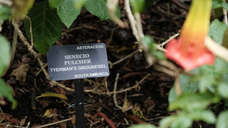 SFBG-4570.jpg