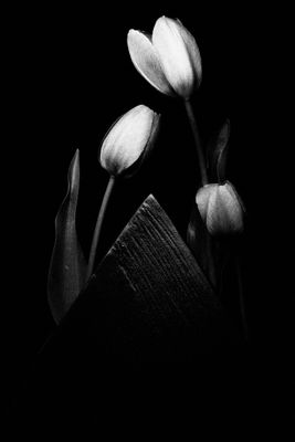 black_and_white