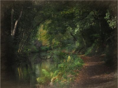 Monmouthshire and Brecon Canal, Goytre.
