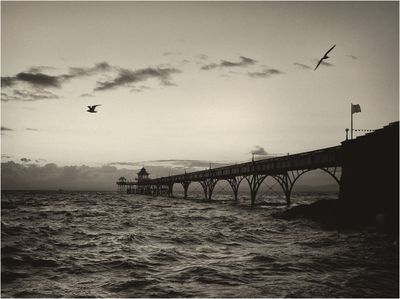 Clevedon Pier