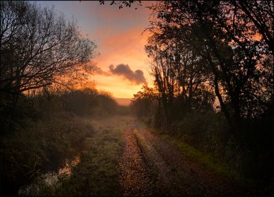 Daybreak, Gwent Levels in Autumn.