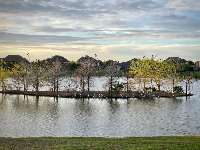 230318-004-Bridgeland.JPG