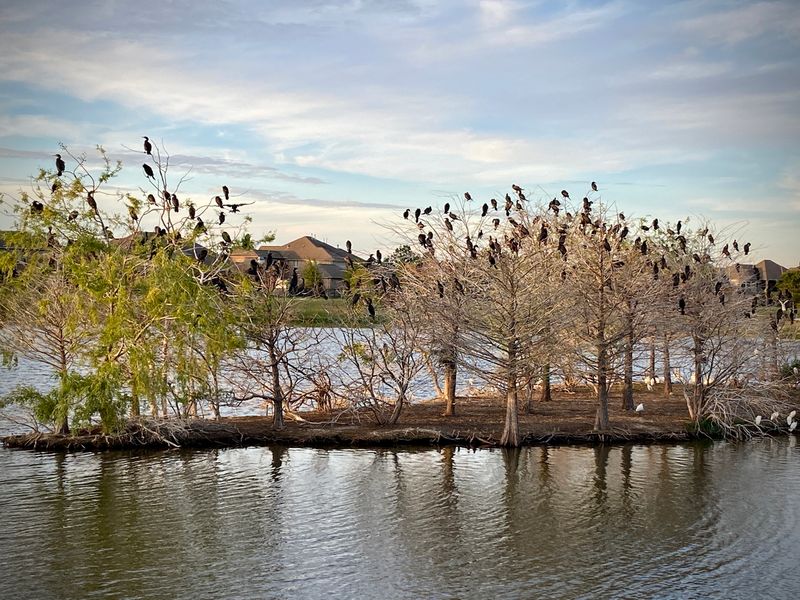 230318-005-Bridgeland.JPG