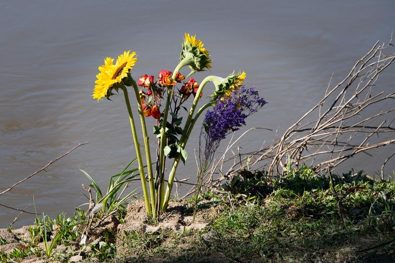 230319-021-Houston Buffalo Bayou Park.jpg