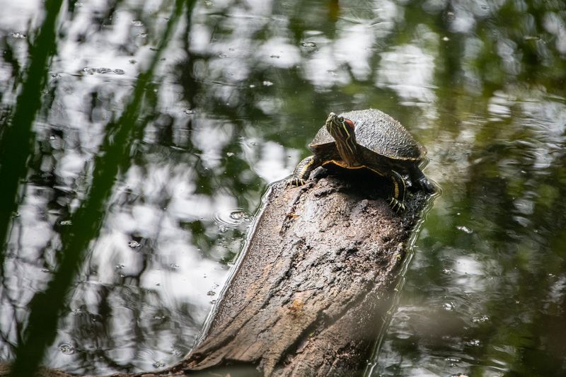 230322-035-Velo nature.jpg