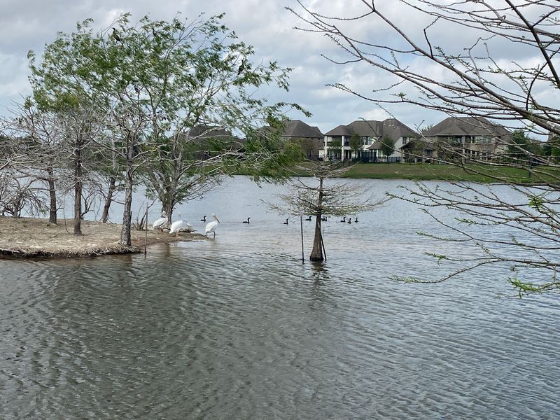 230323-038-Bridgeland.JPG