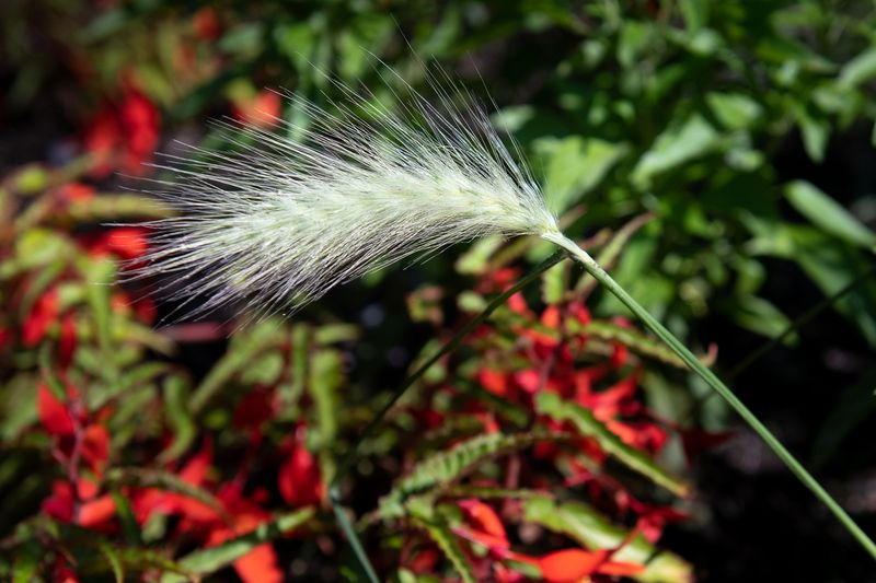 230719-06-Jardins D A Seguin.jpg