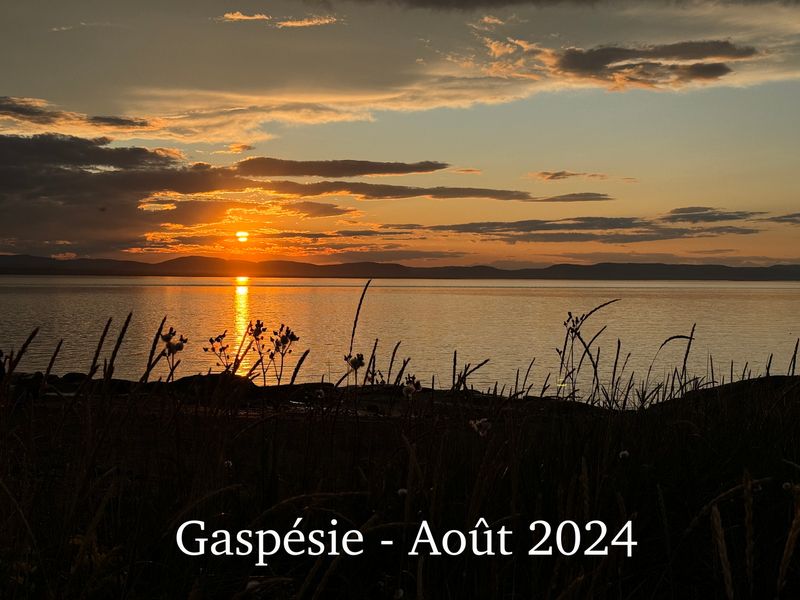 2024-08-05 19-49-07.JPG