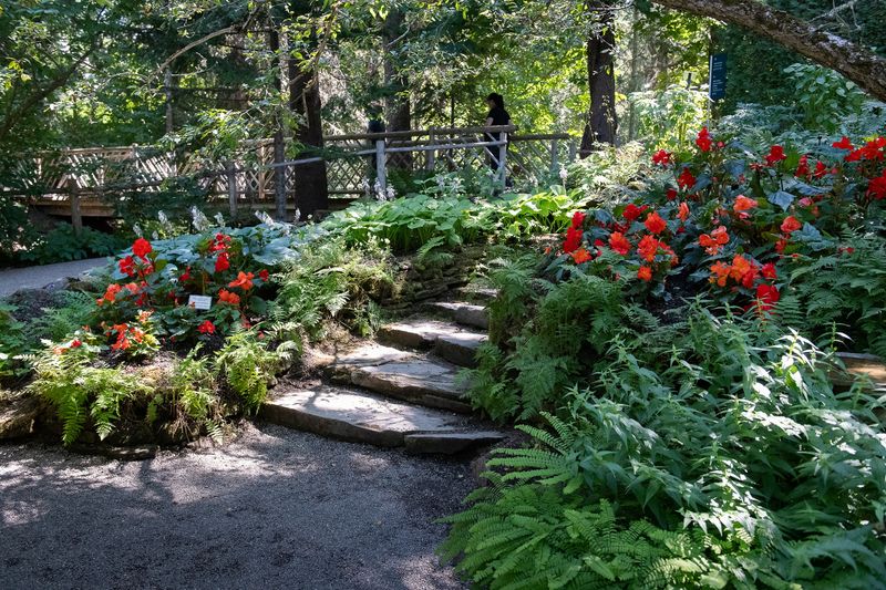 240806-032-Jardins de Metis.jpg