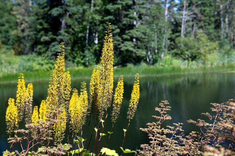 240806-043-Jardins de Metis.jpg