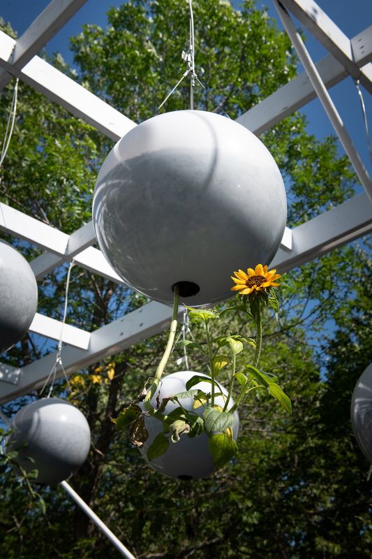 240806-049-Jardins de Metis.jpg