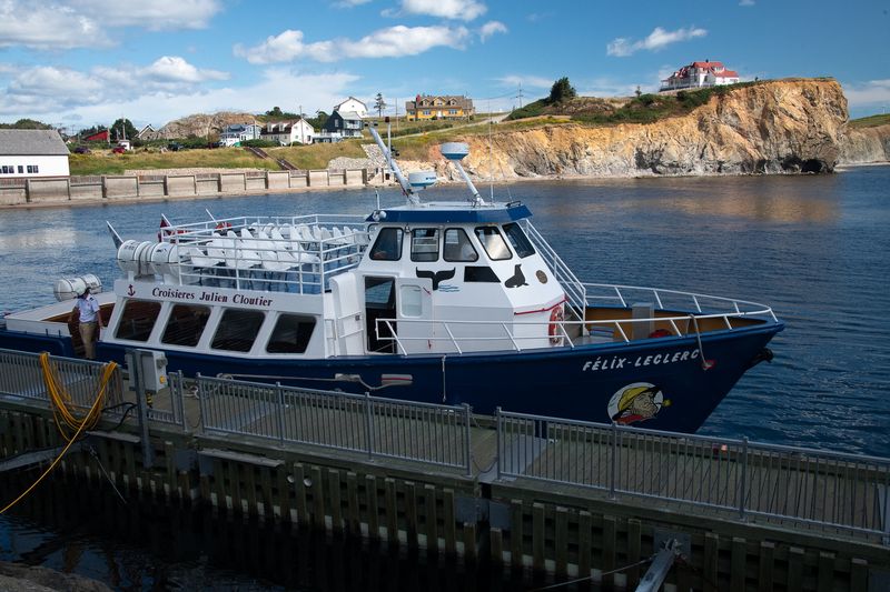 240808-079-Perce - Ile Bonaventure.jpg
