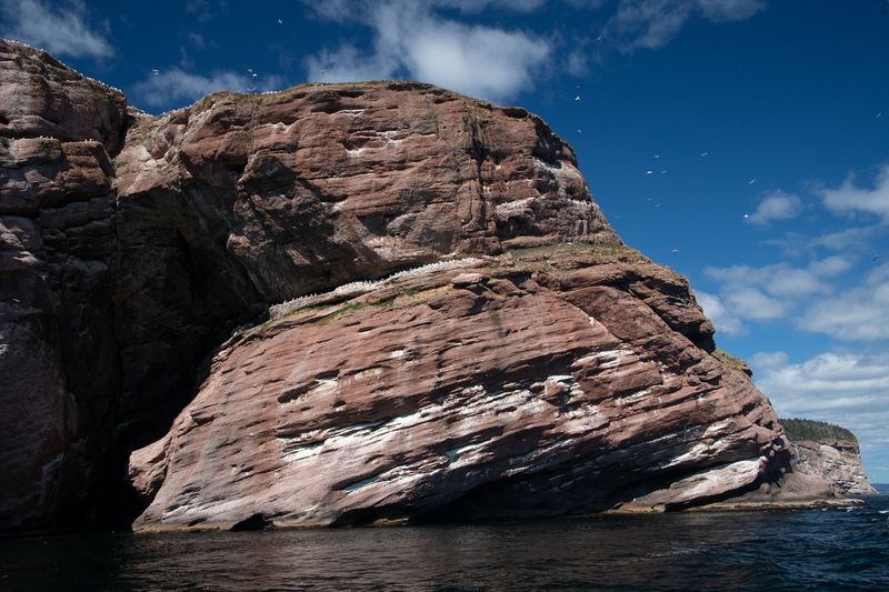 240808-087-Perce - Ile Bonaventure.jpg