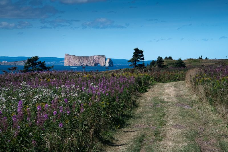 240808-111-Perce - Ile Bonaventure.jpg