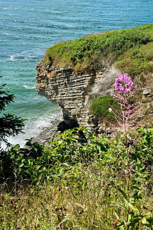 240810-135-Parc de Forillon.JPG