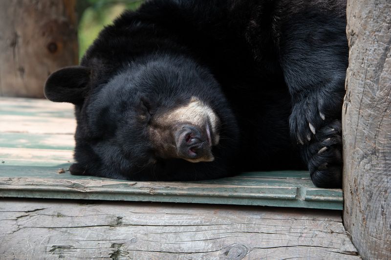240813-182-Zoo Miller.jpg
