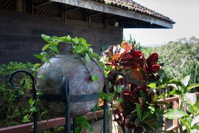221117-51-Costa Rica - Palo Verde.jpg