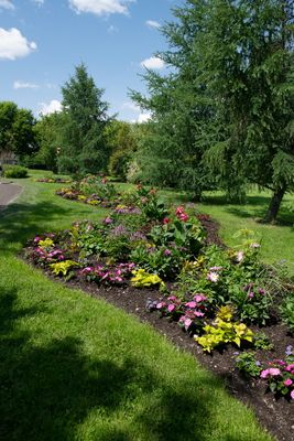 230620-06-Parc Marie-Victorin Kingsey Falls.jpg