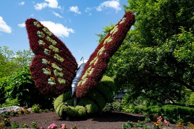 230620-07-Parc Marie-Victorin Kingsey Falls.jpg